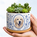 White ceramic personalized pet portrait planter with cobalt botanical artwork, golden retriever portrait, sample name LEO and green succulents